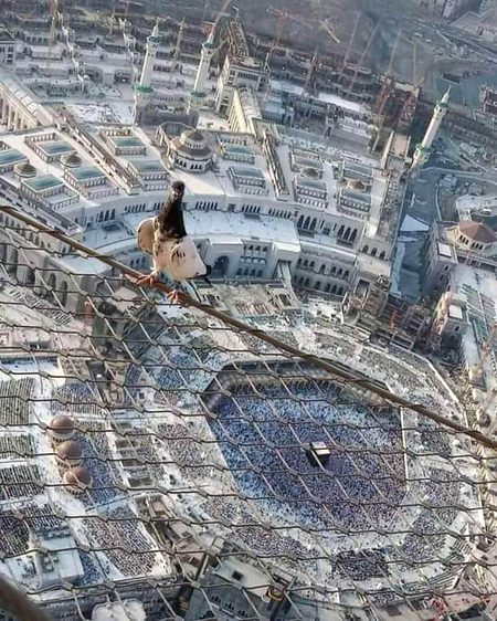 Beautiful Structures image