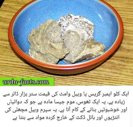 Damadam.Pk