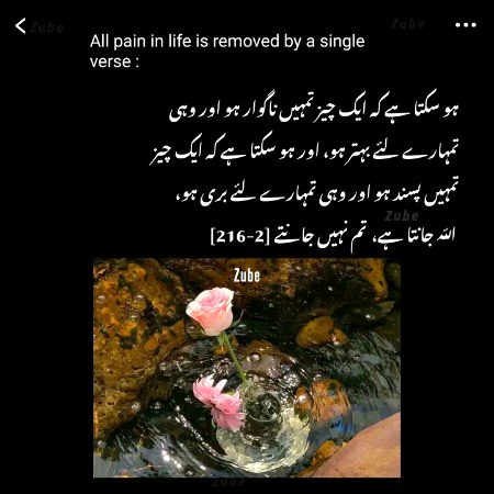 اور پھر جب ہمیں الله کی مصلحتیں سمجھ آجاتی ہیں تب ہمارا دِل ضد چھوڑ دیتا ہے۔