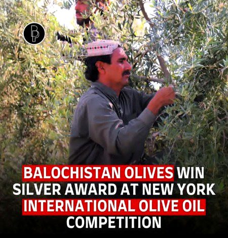 Interesting Posts image