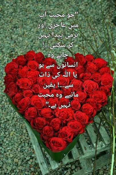 Motivational Quotes image