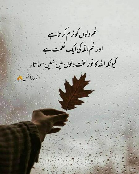 Islamic Quotes image
