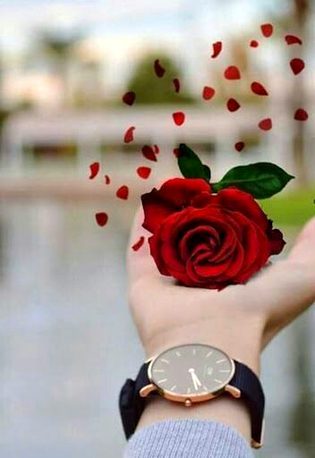 Asslam O Alikum To All sweet dd Family 🌹