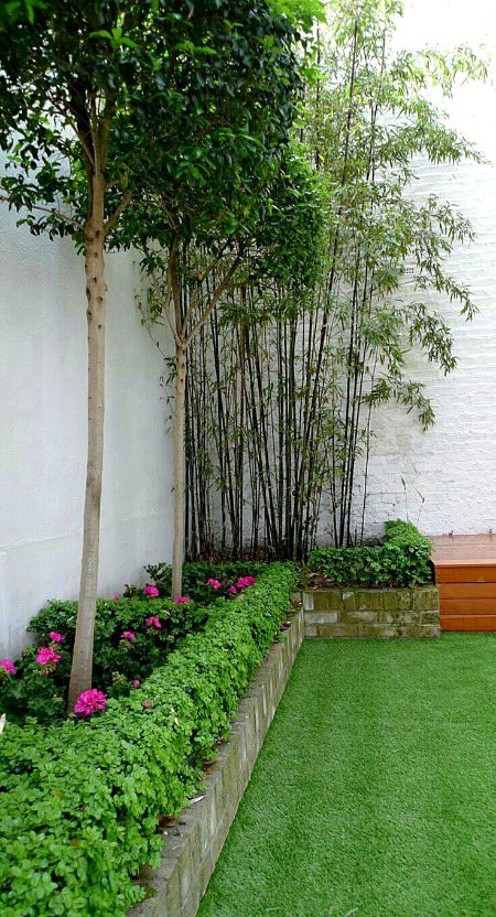 Beautiful Nature image