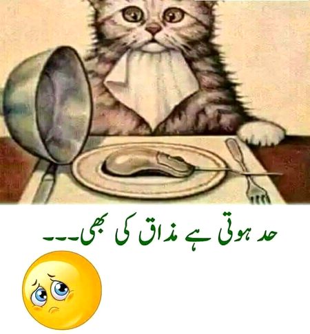 Memes & Satire image