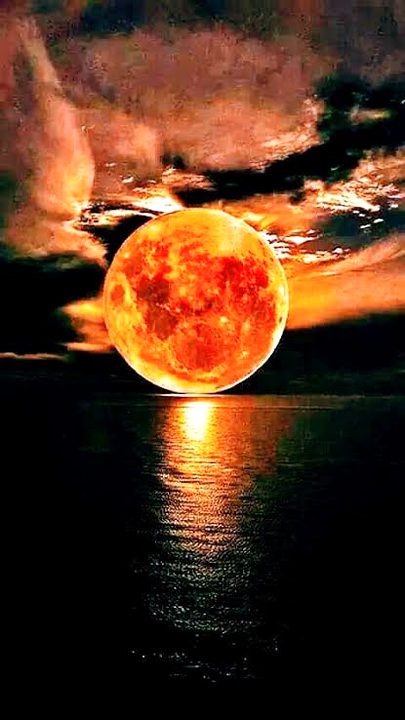 Beautiful Nature image