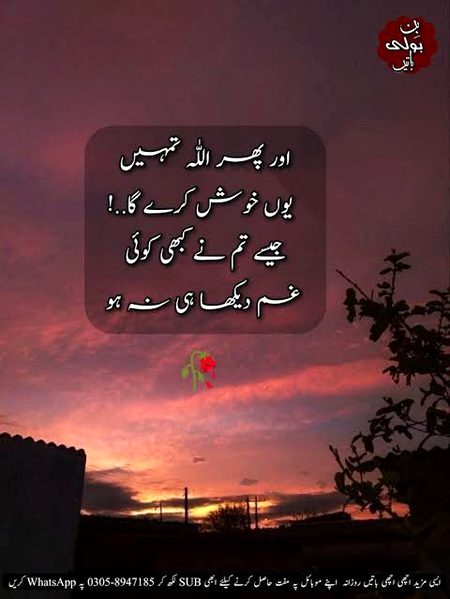 InshaAllah 🥀🥀🌹🌹