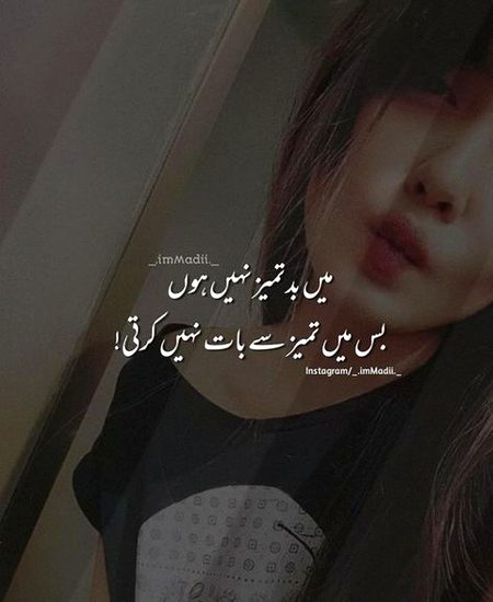 Attitude Quotes image