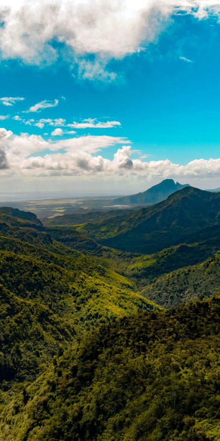 Beautiful Nature image