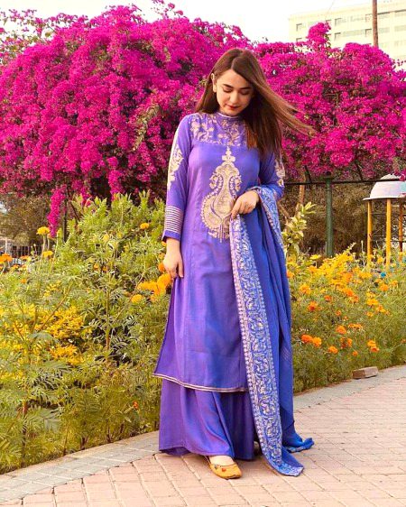 Pakistani Celebs image