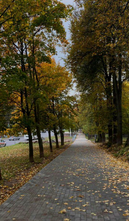 Beautiful Nature image