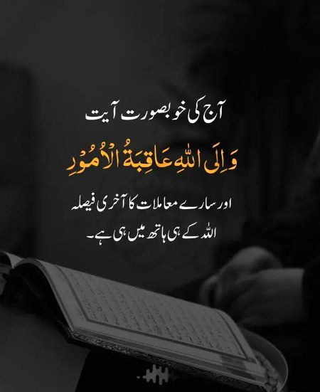 Beshak ❣️