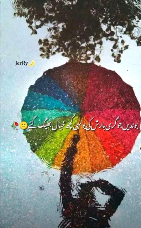 کتنا سوچا تھا پر اتنا تو نہیں سوچا تھا،
یاد بن جائے گا وہ خواب نظر آئے گا وہ،
سب کے ہوتے ہوئے وہ اک روز تنہا ہو گا،
پھر وہ ڈھونڈے گا ہمیں اور نہیں پائے گا وہ