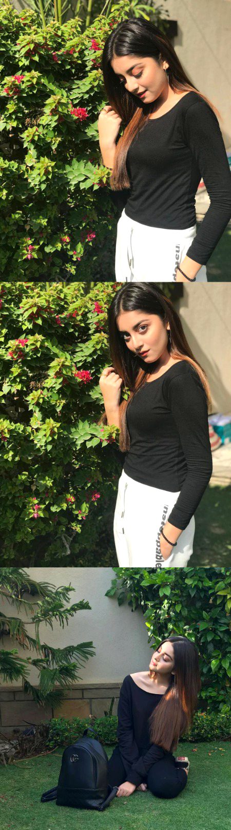 Pakistani Celebs image