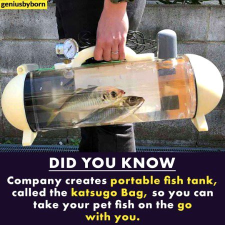 Interesting Posts image