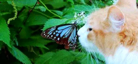 Beautiful Nature image