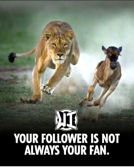 Life Advice image