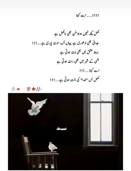 بیشک۔۔