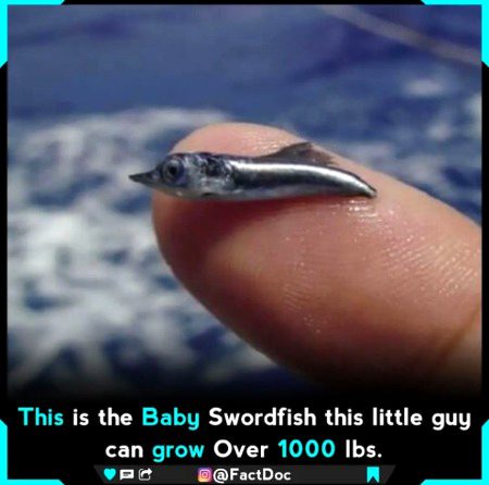 Interesting Posts image