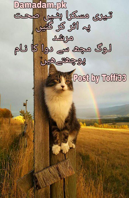 Romantic Poetry image