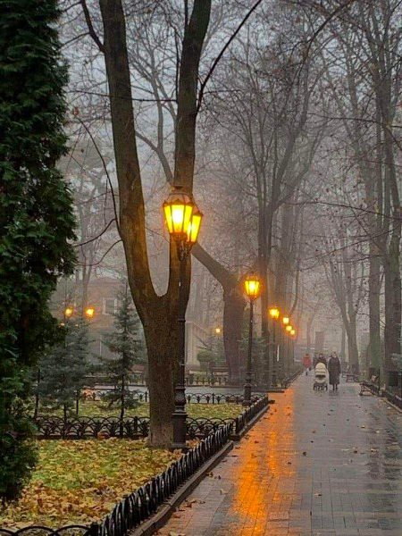 Beautiful Nature image