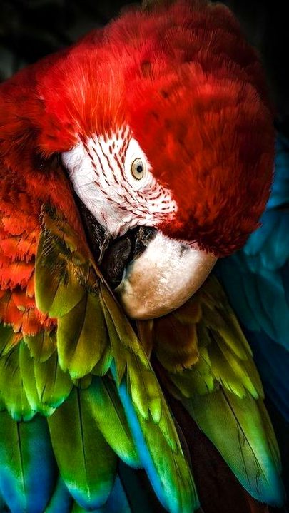 Beautiful Nature image