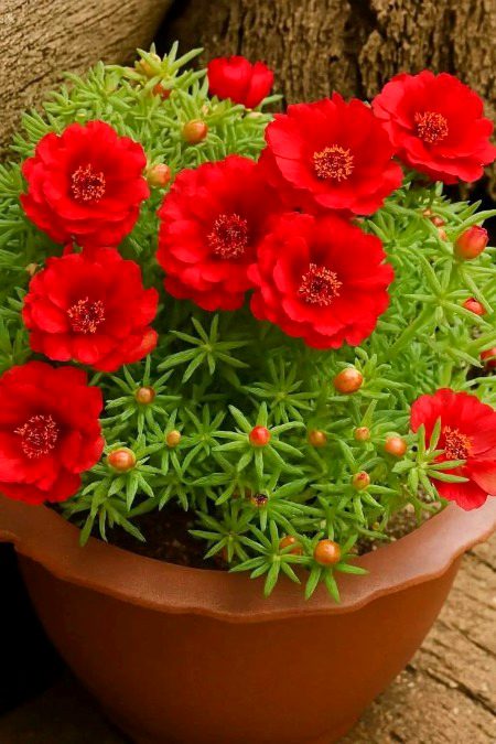 Beautiful Nature image