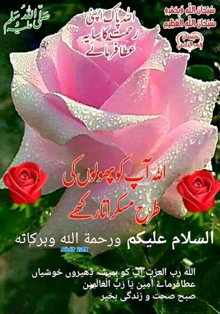 Islamic Quotes image