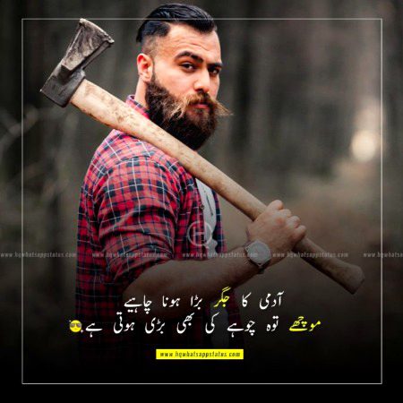 آدمی کا جگر بڑا ہونا چاہیے
موچھے توہ چوہے کی بھی بڑی ہوتی ہے