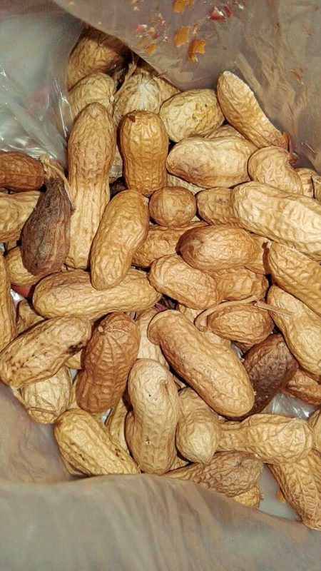 Hye Ya thnd r peanut ksko khni ha✨❤️