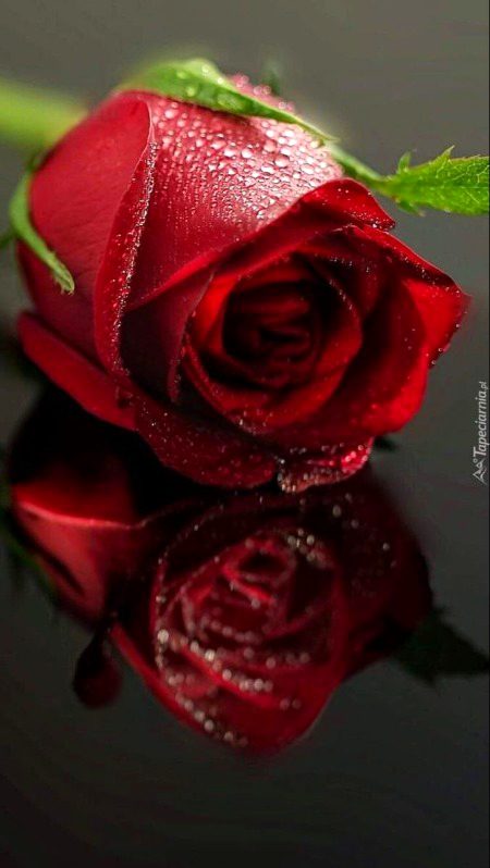 Beautiful Nature image