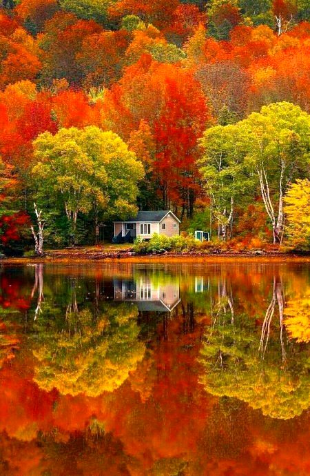 BEAUTIFUL NATURE