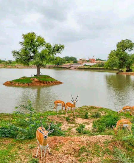 Beautiful Nature image