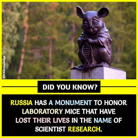 Interesting Posts image