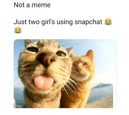Memes & Satire image