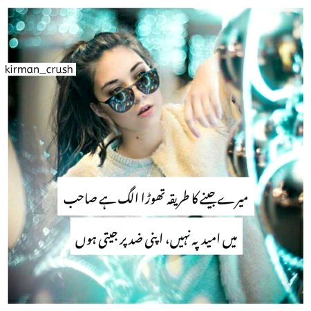 Attitude Quotes image
