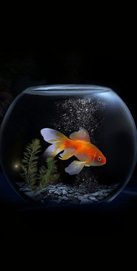 Digital Art image