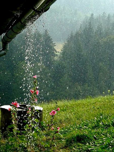 Beautiful Nature image