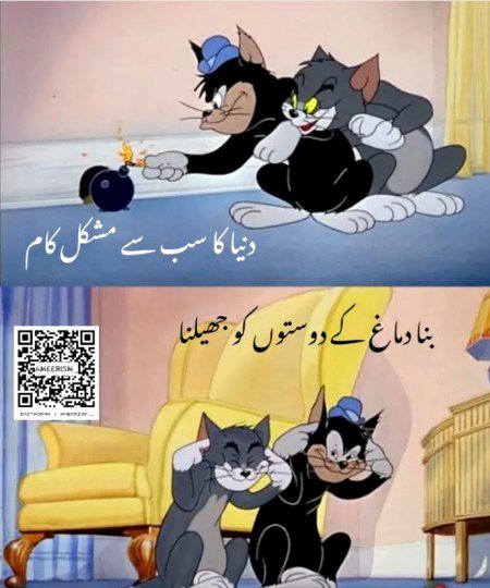 Memes & Satire image