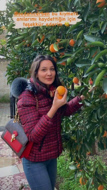 Turkish Celebs image