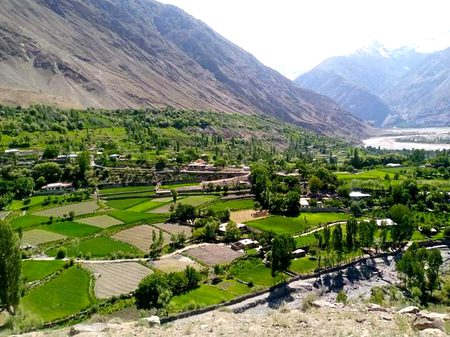 Beautiful Nature image