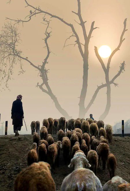 Beautiful Nature image