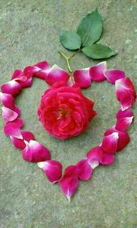 Beautiful Nature image