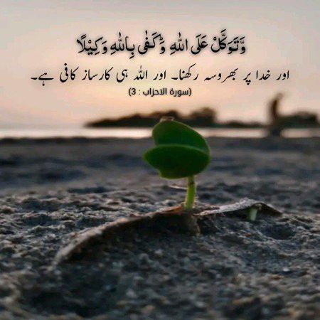 Islamic Quotes image