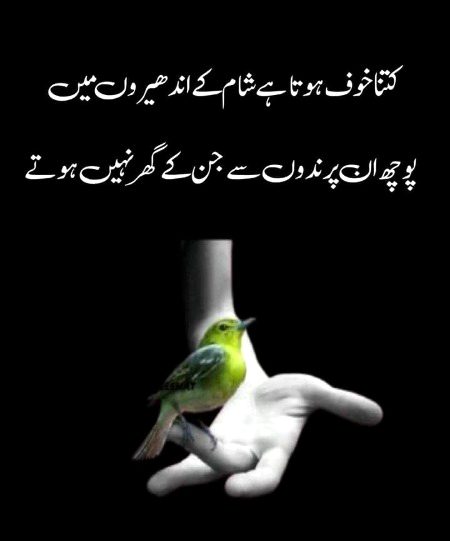 Blkl ji