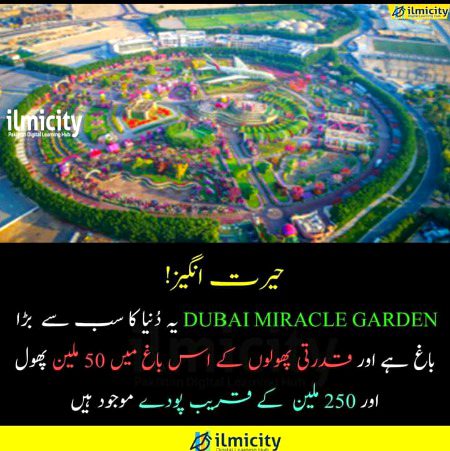 Interesting Posts image