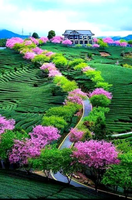 Beautiful Nature image