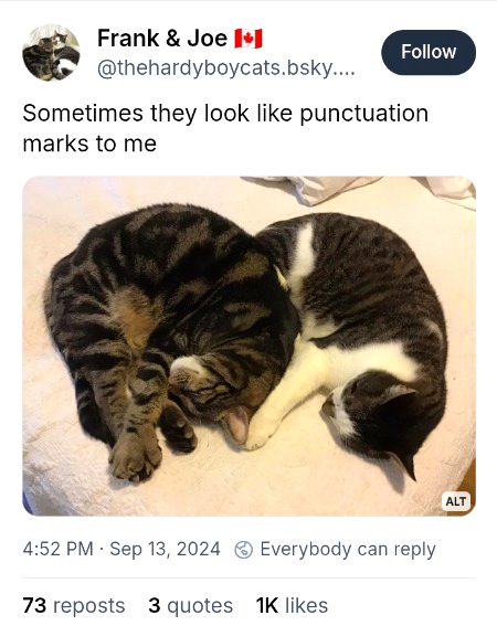 Memes & Satire image