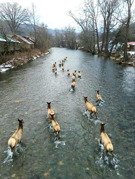 Beautiful Nature image