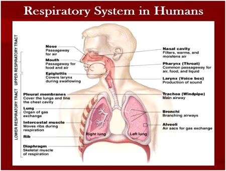 Help for students 👈